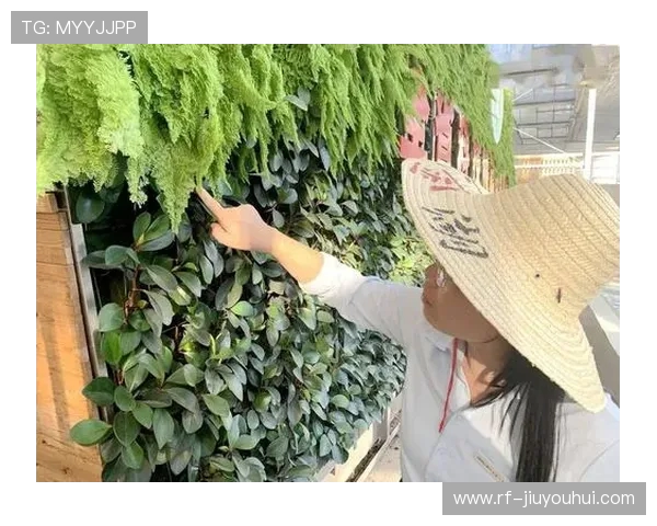 围绕福建常山足球场打造区域体育文化与城市休闲新地标愿景蓝图展